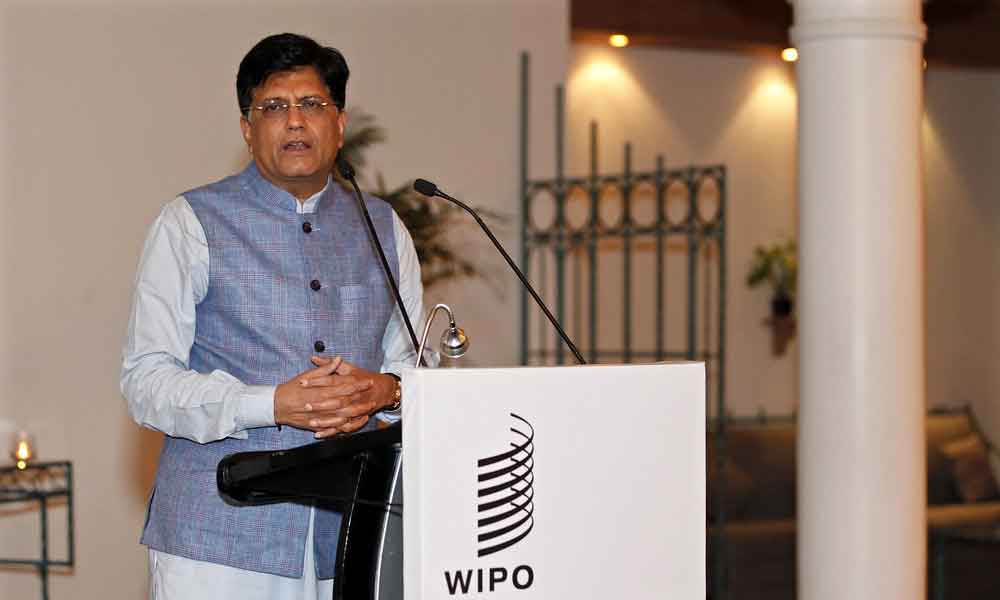High targets must be set in India-Italy partnership in light of new potential: Piyush Goyal