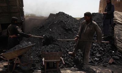 Coal imports rose 30% to 162 million tonnes in 2022-23: Report