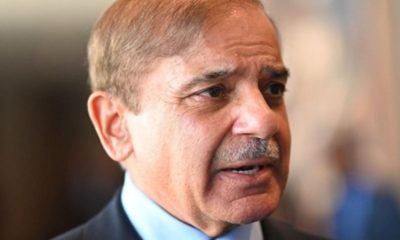Pak PM Shehbaz, Hina Rabbani Khar's discussion on ties with US leaked