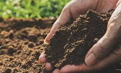 Soil is the foundation of our planet’s ecosystems: Report